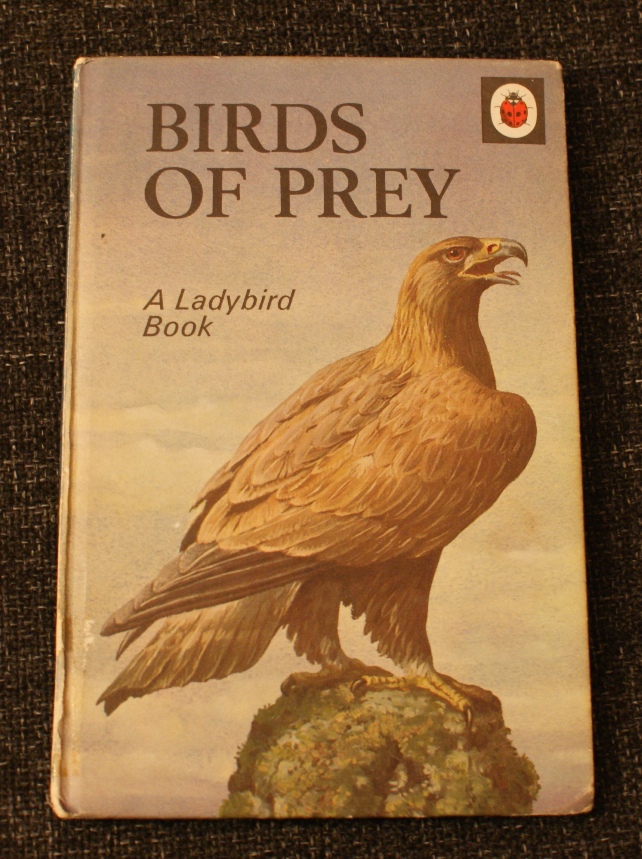 My much loved copy of a Ladybird Book bought new in 1972 for 15pence!