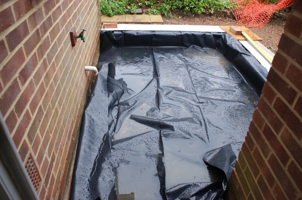 The pond outside out front door!
