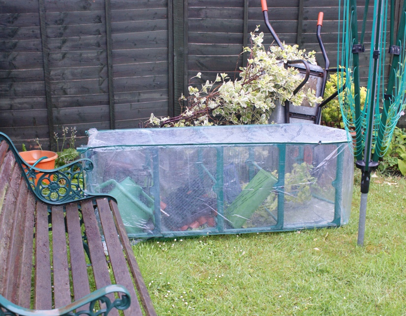 A sad sight!  My greenhouse blown flat on it's face and all the pots and trays thrown about!