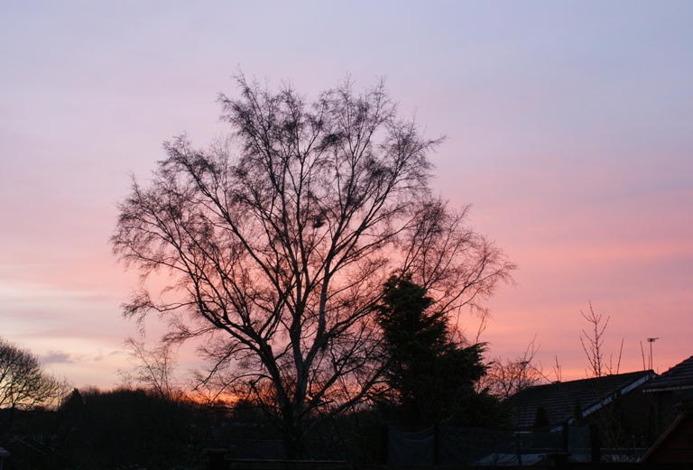 New Years Day sunrise