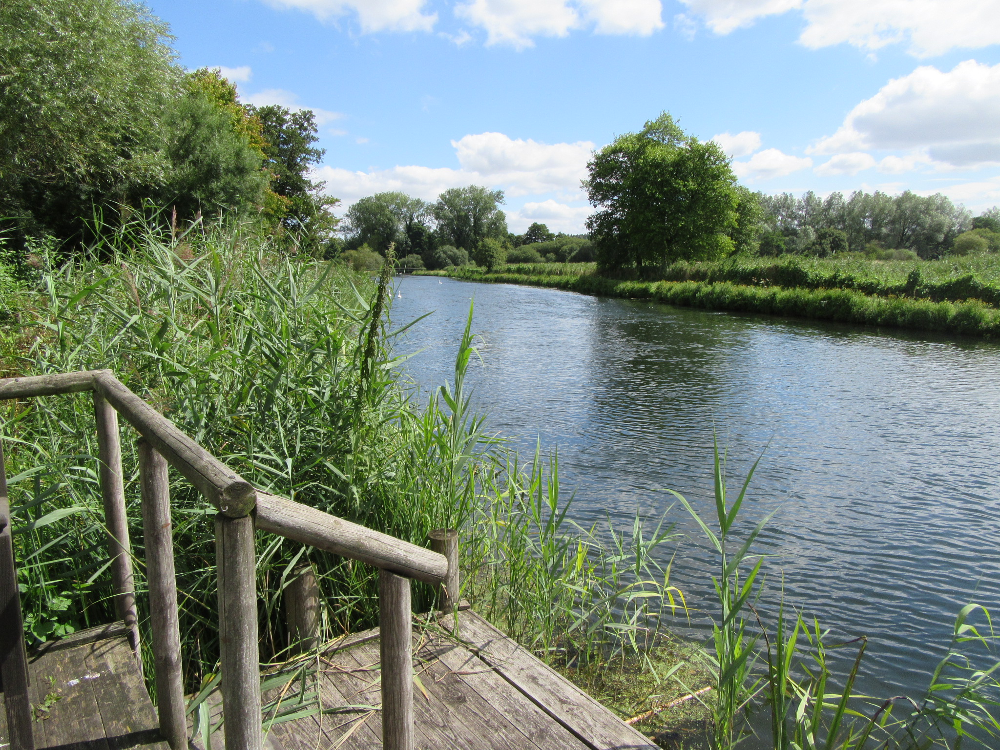 River Test at Houghton