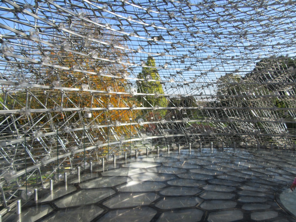 Inside The Hive Kew by Allison Reid
