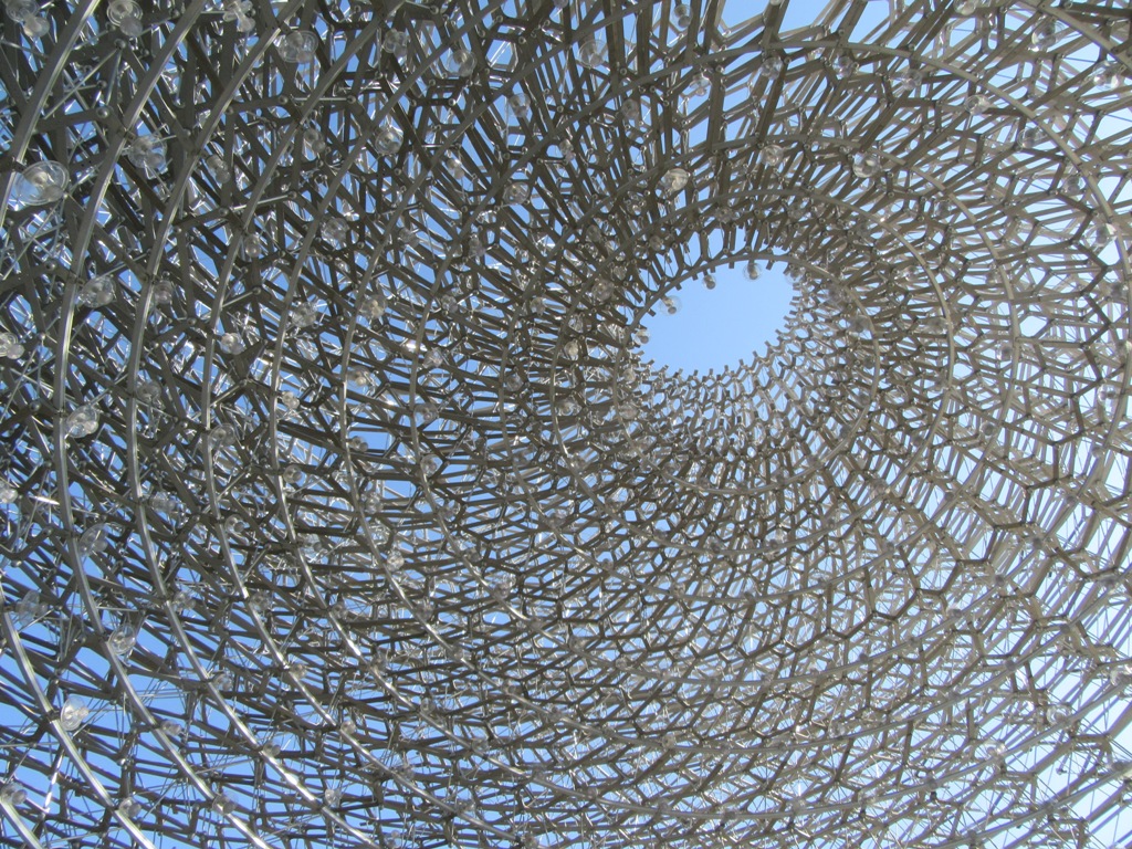Through The Hive Kew by Allison Reid