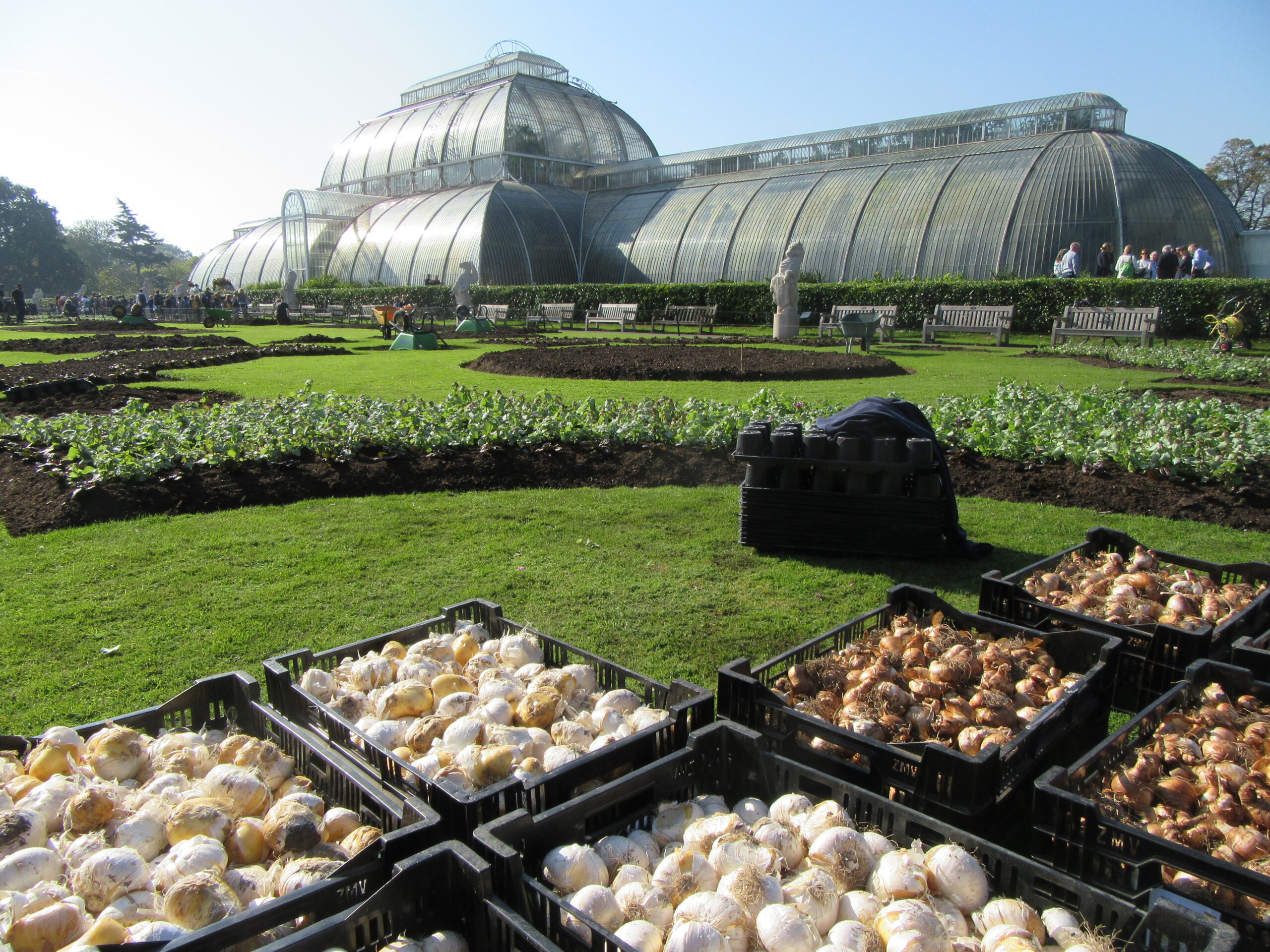 Palm House, Kew by Allison Reid
