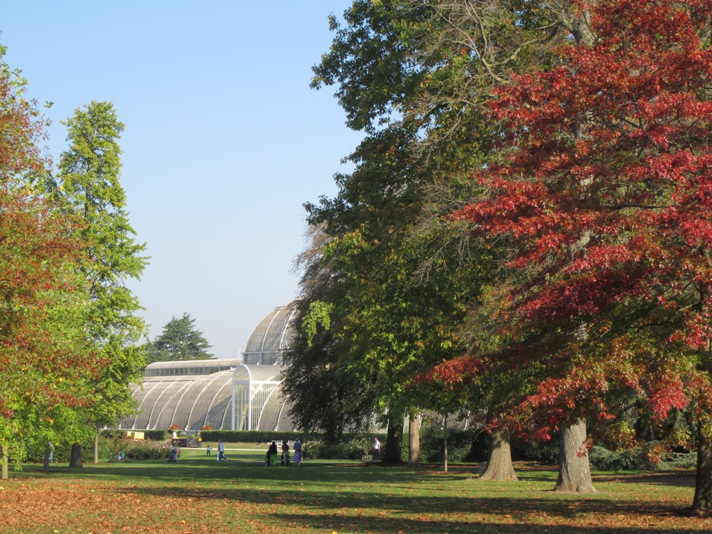 Behind the Palm House, Kew by Allison Reid