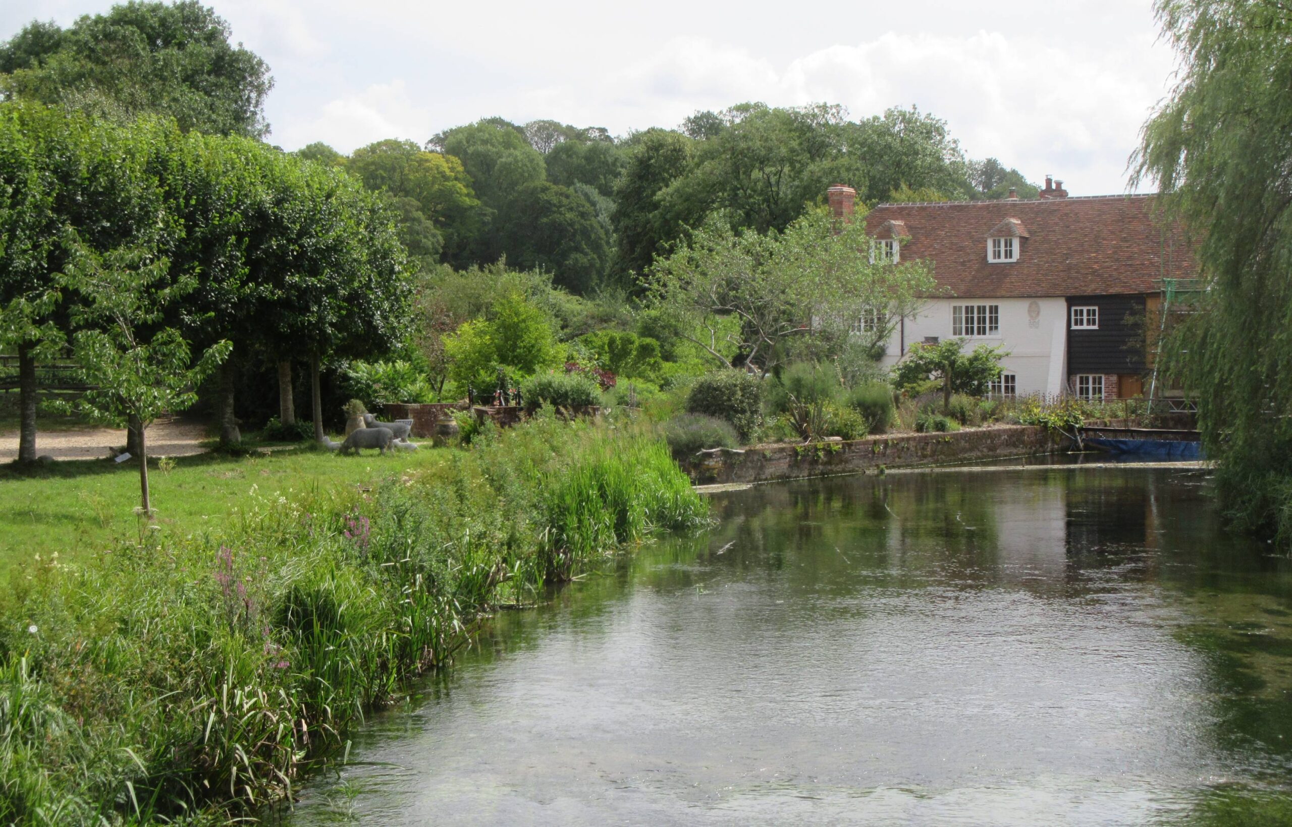 Mill Walk Bere Mill by Allison Reid